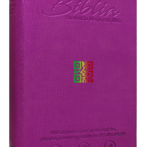BIBLIA ENCUENTRO CON DIOS MORADO RVC065