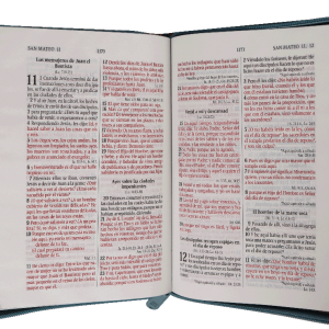 BIBLIA CHICA VINIL GRIS RVR042CZLGPJR